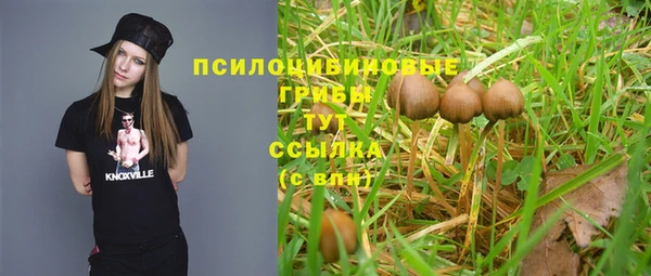 кокаин колумбия Алексин